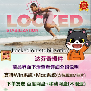 达芬奇镜头跟踪稳定防抖插件 Locked On Stabilization Effect