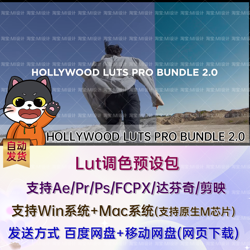 1500+高级电影调色预设LUT预设 HOLLYWOOD LUTS PRO BUNDLE 2.0