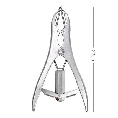 极速Pigs and sheep Caqstration Pliers Rubber Ring Castration