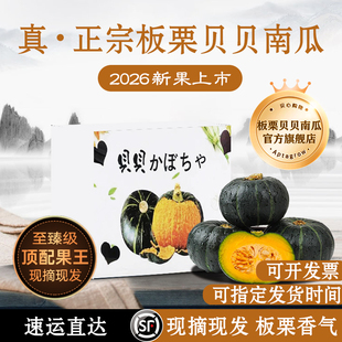 正宗】板栗贝贝南瓜官方旗舰店板栗味新鲜山东产地直发即食正品黄