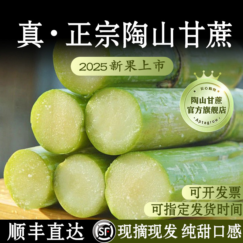 正宗陶山甘蔗官方旗舰店顺丰现摘