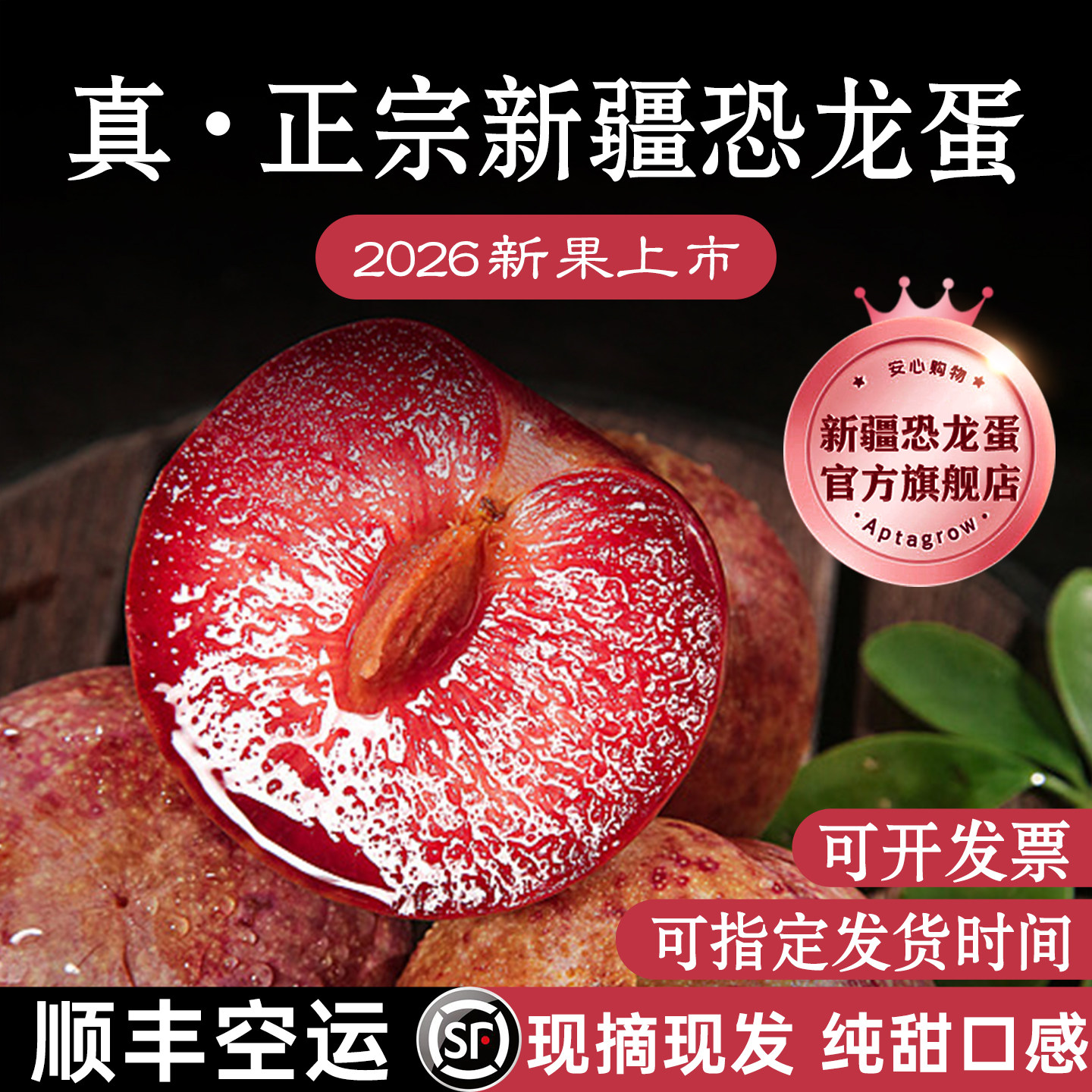 正宗新疆恐龙蛋李子现摘现发顺丰