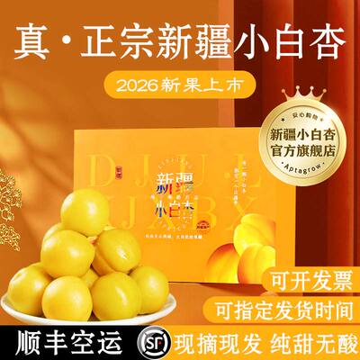 正宗新疆轮台小白杏顺丰现摘现发