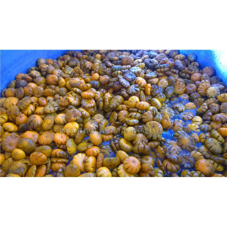 杏脯真空浸糖锅 冬瓜条真空浸渍机 真空浸糖设备果脯浸糖好处多,清洗/食品/商业设备,休闲食品加工设备,淘宝优惠券,粉丝福利购,淘宝优惠卷