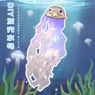 发光水母灯手工diy材料包摆摊儿童手提发光新年灯笼挂饰2025新款