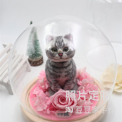 2019新品羊毛毡宠物照片定制虎斑猫美短全身摆件玻璃罩情人节礼物