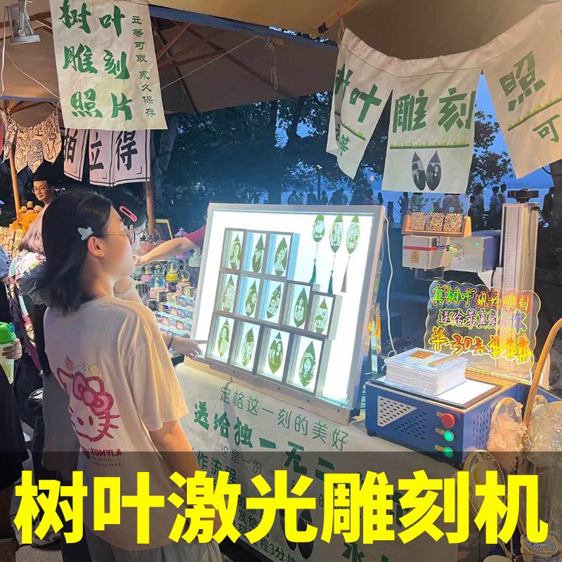 新汉工叶雕树叶激光雕刻机小型全自动打印叶子雕刻照片机器叶雕机