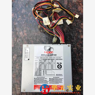 NIPRON PCSA-300P-X2VS