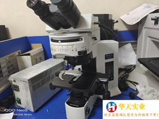 BX51荧光显微镜 OLYMPUS 相差