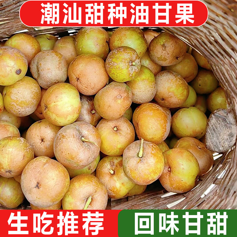 新鲜采摘青油甘果余甘果牛甘果滇橄榄当季油柑酸水果余甘子包邮