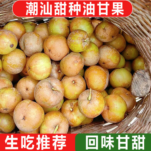 新鲜采摘青油甘果余甘果牛甘果滇橄榄当季油柑酸水果余甘子包邮