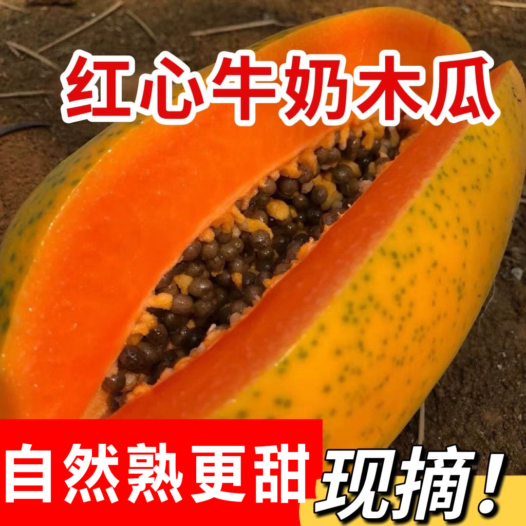 广西红心牛奶木瓜新鲜9斤应当季水果青皮番木瓜树上熟冰糖心