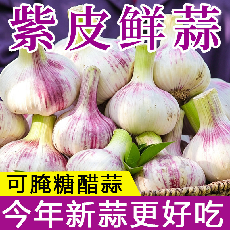 2026年新鲜大蒜鲜蒜腌制新鲜现挖湿蒜腌糖醋蒜新鲜紫白皮大蒜