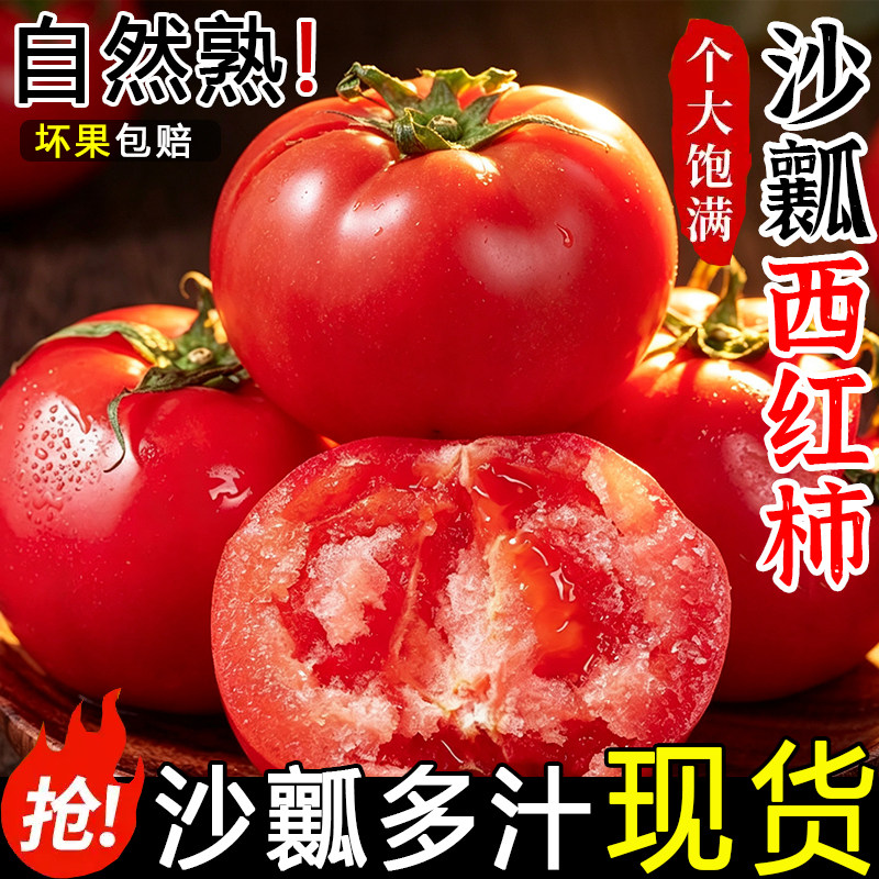 正宗攀枝花米易沙瓤西红柿5斤装普罗旺斯自然熟柿子蔬菜水果番茄
