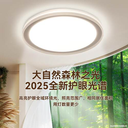 低蓝光防眩目现代简约卧室儿童吸顶灯高亮无频闪LED书房全屋灯具