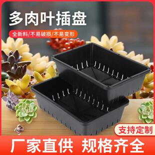 多植物专叶插盘小型育苗盘日肉式底部侧孔疏透气12346新水料种用