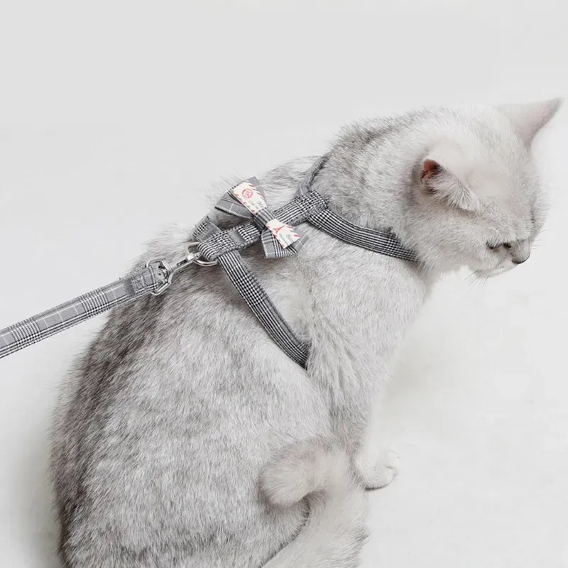 极速猫咪牵引绳防挣脱遛猫绳英短蓝幼猫小奶猫P外出猫绳子链子宠