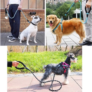 极速150/200/300cm Strong Dogx Leash Pet Leashes Reflective L