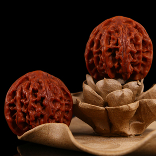 新品 文玩核桃高抛苹果园狮子头核桃把F玩闷尖白狮子头手玩核桃麦