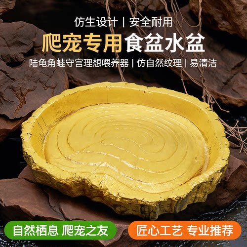 爬宠喂食饮水器造景用品食盆水盆
