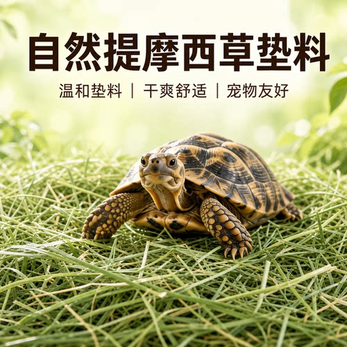 提摩西草碎天然垫料小宠造景垫材