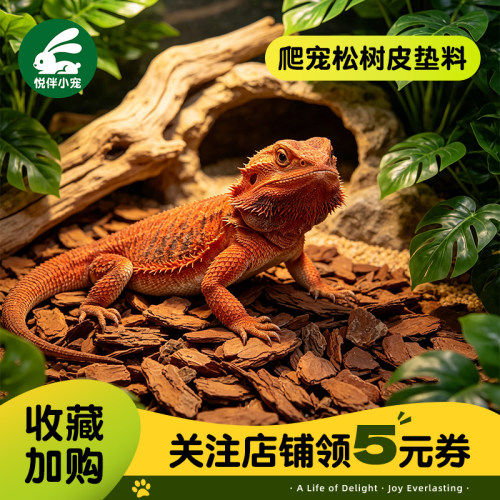 爬宠垫材松树皮保湿除臭造景垫料
