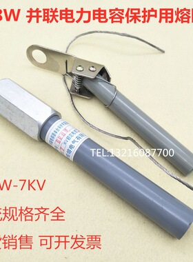 BR8W-7/80P并联电力电容保护用熔断器BR8W 50A 60A 65A 70A75A80A