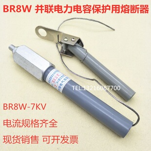 65A 80P并联电力电容保护用熔断器BR8W 60A 70A75A80A 50A BR8W