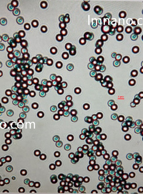 500nm 蓝色荧光微球   10ml