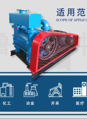 2BE252水环真空泵造纸工业抽真空水环式真空泵及压缩机淄博鲁中