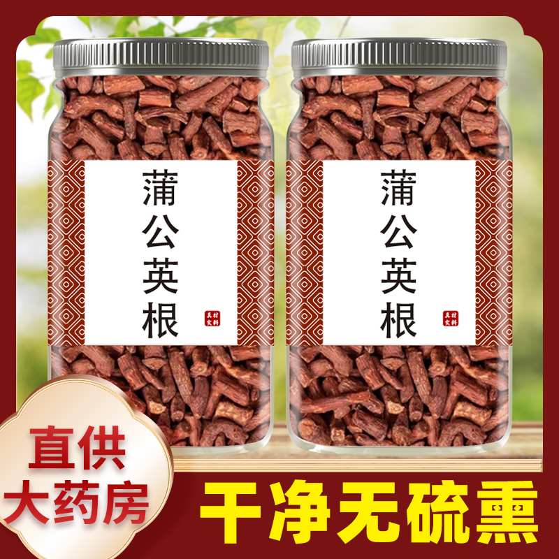 蒲公英根茶东北土特产鲜婆婆丁大段散装500克莆公英根整根药材