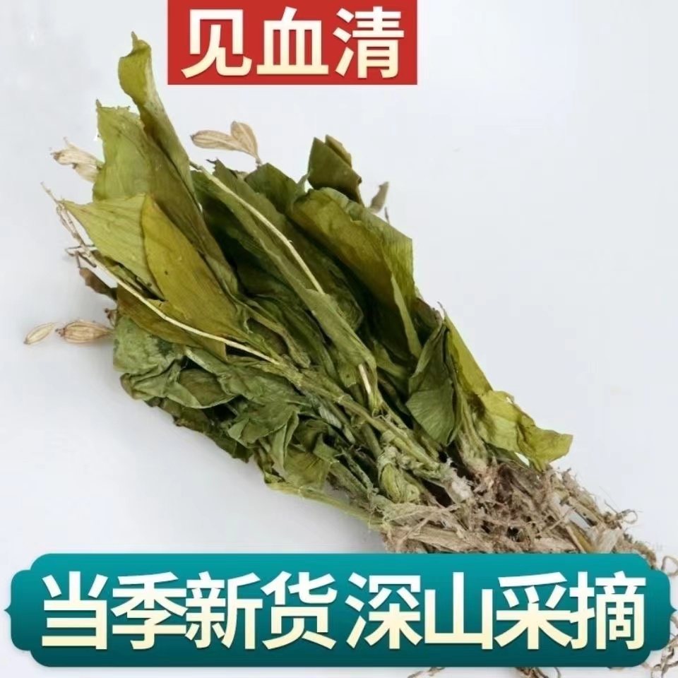 正品天然野生见血清新货中药材500g正宗新鲜干货整颗见血清羊耳蒜