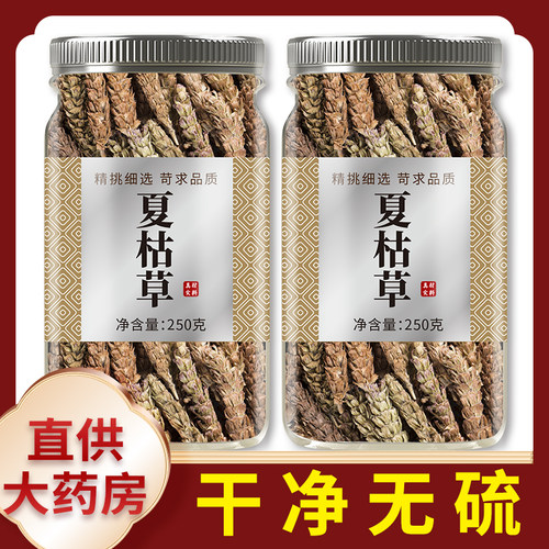 夏枯草新鲜正品白菊花