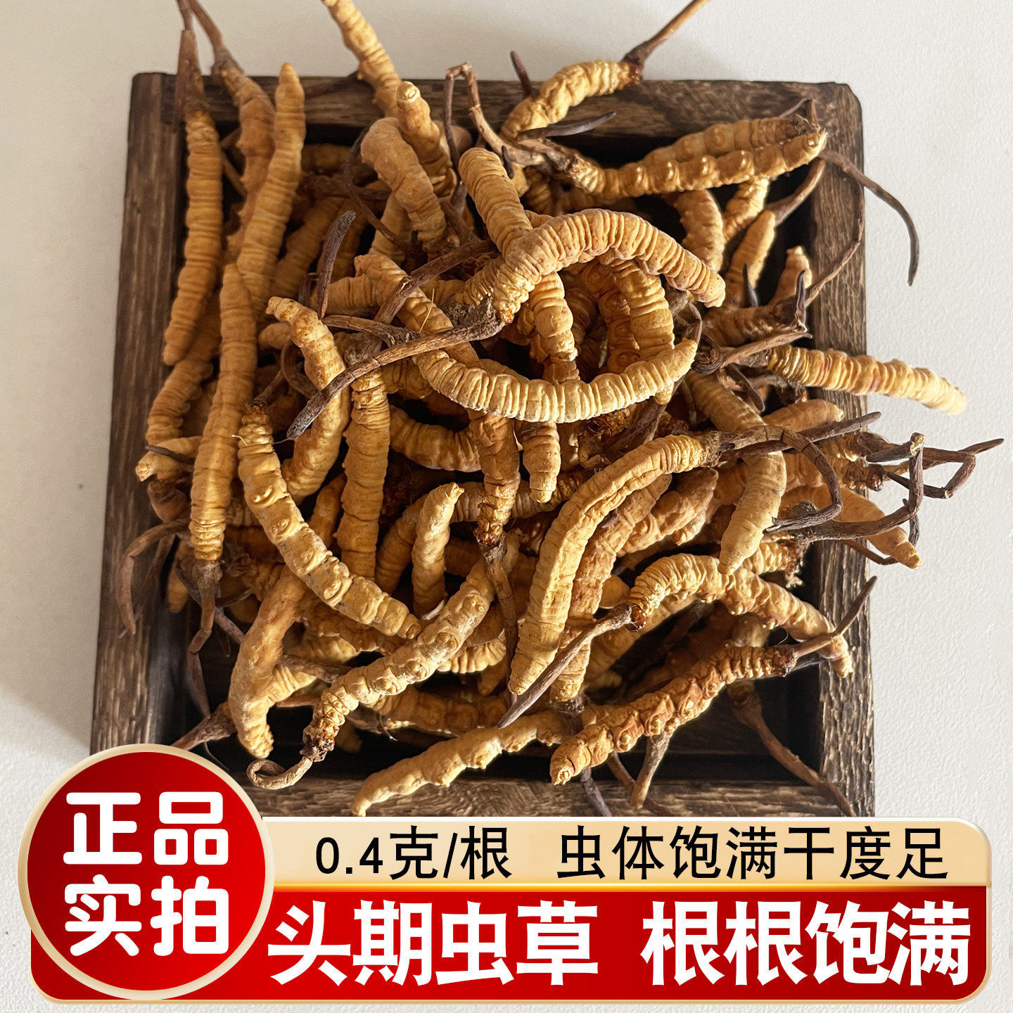 正宗冬虫夏草滋补高海拔虫草干货人工虫草0.4克/根非西藏那曲