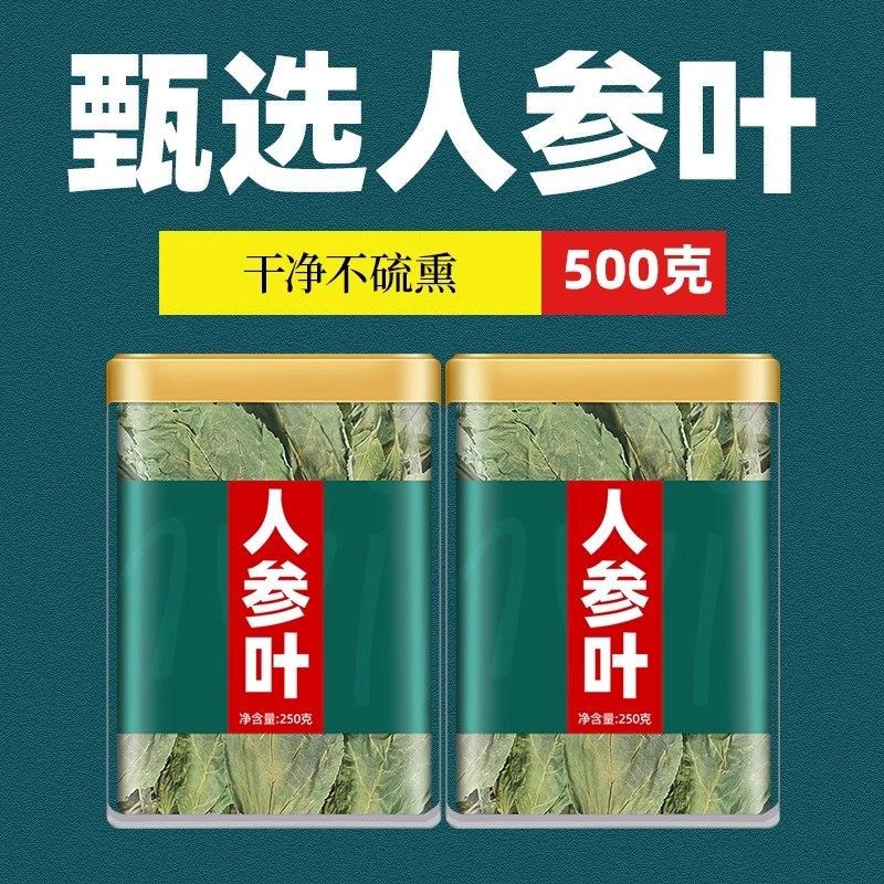 人参叶新鲜500g中药材正品官方旗舰店散装药用泡茶泡水野生长白山