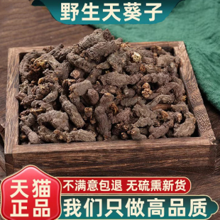 野生天葵子500g250g100克中药材天葵草水洗天葵子千年老鼠屎紫背