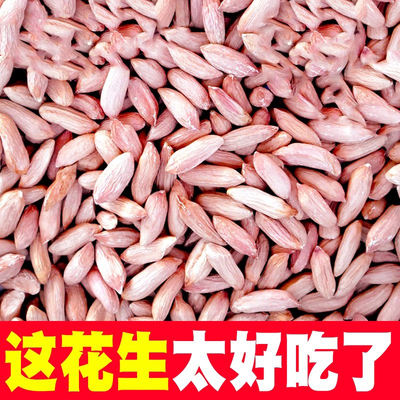 瘪花生今年新货优质花生小粒花生仁养胃零食花生豆去壳瘪子花生米