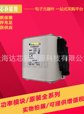 170M6517 170M6518 170M6519 170M6520 170M6521全新巴斯曼熔断器