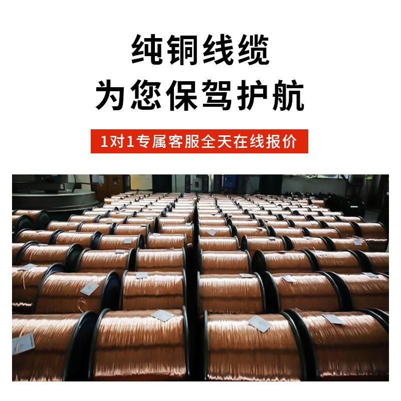 国标纯铜铠装yjv电缆线2芯4/6/10/B16/25平方0.6/1kv工程地埋电线