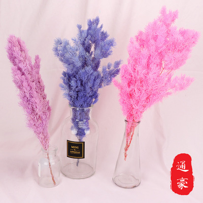 厂家直供永生蓬莱松 永生花花材 礼盒制作材料 节日礼物配材