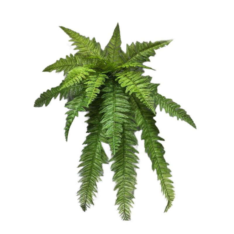 手感仿真植物波斯草18叶长款蕨叶仿真绿植墙装饰橱窗工.程用大蕨