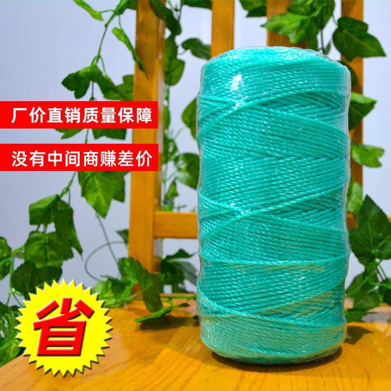 大棚吊秧绳西瓜黄瓜吊蔓绳塑料绳子拉绳西红柿爬藤网种植网农用,农机/农具/农膜,农用捆草绳,淘宝优惠券,粉丝福利购,淘宝优惠卷