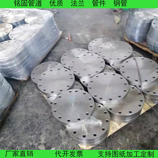 双相不锈钢材质2507 2205 310S 耐高温盲板法兰 法兰盖DN200 PN16