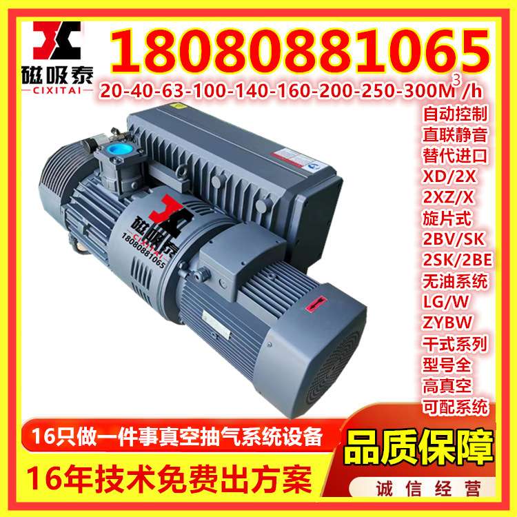旋片真空河南 XD100旋片真空泵真空设备光伏行业真空抽气机