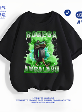 Boneca Ambalabu儿童短袖国外抽象山海经轮胎青蛙男童潮流纯棉t恤