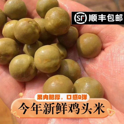 【顺丰包邮】天长龙岗二青特级鸡头果特大果芡实新鲜不苦涩薄壳