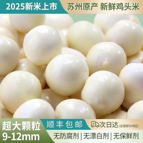 鸡头米新鲜芡实2025年