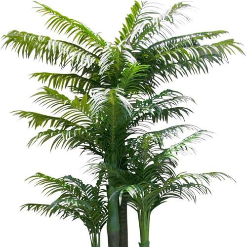 热带槟榔树塑料树大型落地盆栽假树酒店餐厅装饰植物树仿真