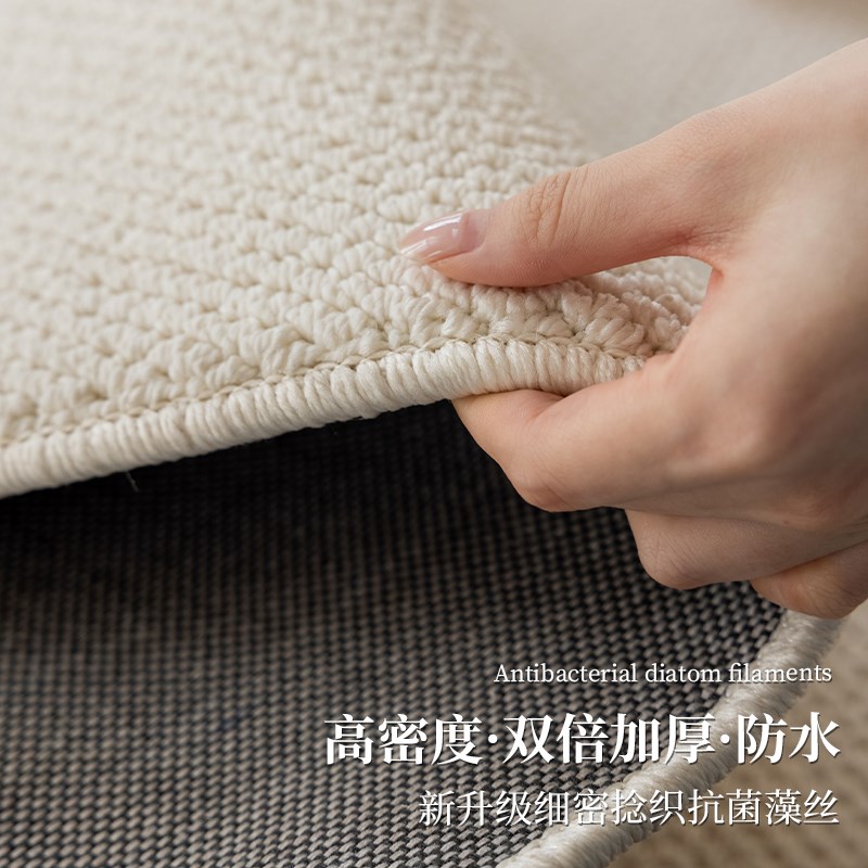 2024新c款轻奢高级米白纯色沙发客厅地毯卧室免洗可擦防水防污地