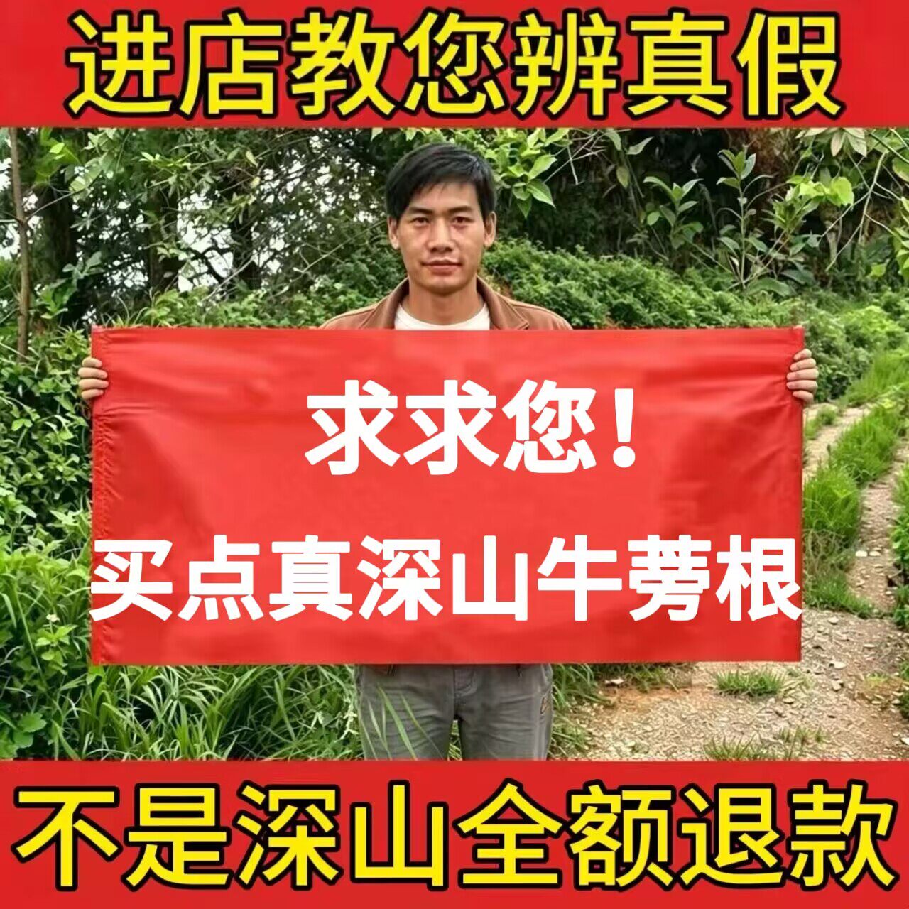 野生牛蒡根中药材500g正品新鲜黄金牛旁根大片精选泡茶水新货无硫